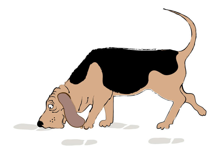 无人,走,横图,插画,室内,白天,白色背景,侧面,数码,科技,宠物,狗,脚印,阴影,网络,高光,几何,计算机图形,合成,图画,注视,闻,画,一只,动物,低头,观察,看,可爱,观看,电脑合成图,数码合成图,足迹,察看,嗅,合成图,关注,漫画,猎狐犬,忠诚,写实,具体,具象,行踪,脚迹,垂头,英国猎狐犬,犬,步行,散步,走路,彩图,全身