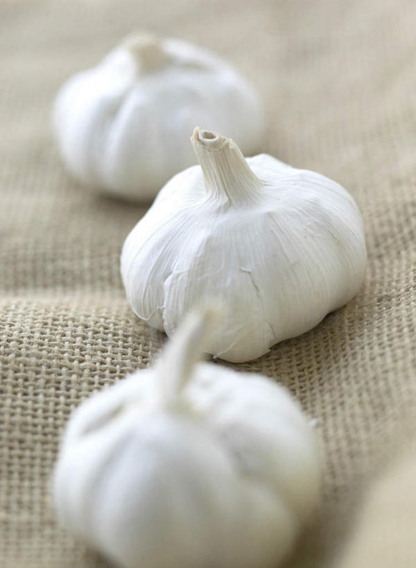 无人,竖图,俯视,室内,特写,白天,蔬菜,蒜,一排,花纹,朦胧,模糊,新鲜,整齐,布,图案,食品,褐色,蒜头,布纹,三颗,食物,排列,三个,白色,摄影,有机食品,绿色食品,影棚,布匹,队列,麻布,胡蒜,大蒜,彩图,高角度拍摄,影棚拍摄,拍摄