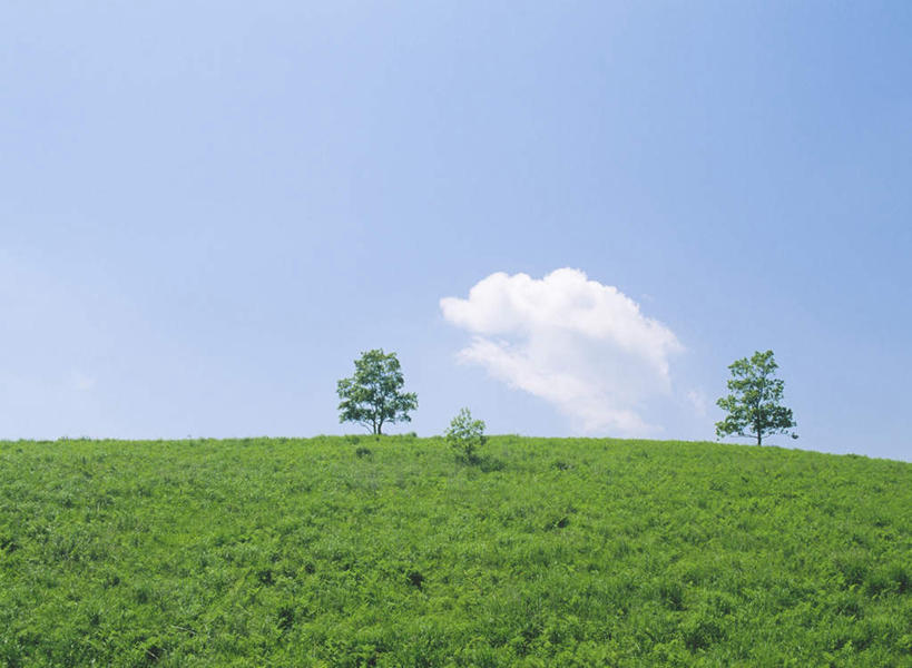 无人,横图,室外,白天,正面,草地,草坪,美景,植物,两棵,景观,云,云朵,云彩,草,树,树木,蓝色,绿色,白云,蓝天,天空,自然,天,景色,生长,晴朗,成长,自然风光,晴空,彩图