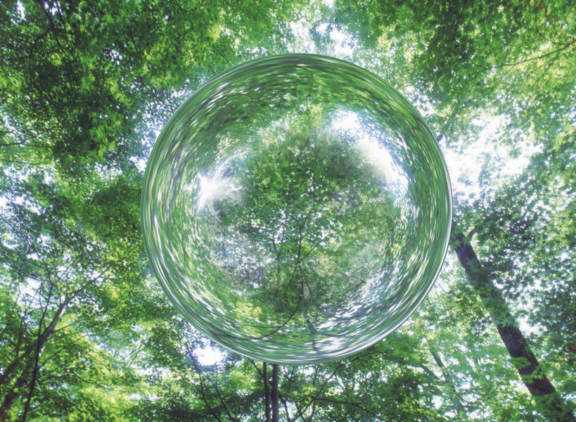 无人,横图,室内,特写,白天,正面,数码,科技,森林,树林,植物,阴影,朦胧,模糊,透明,光线,网络,影子,高光,几何,计算机图形,合成,球,树,树木,一个,绿色,阳光,自然,球体,生长,单个,成长,电脑合成图,数码合成图,透视,合成图,写实,具体,具象,彩图