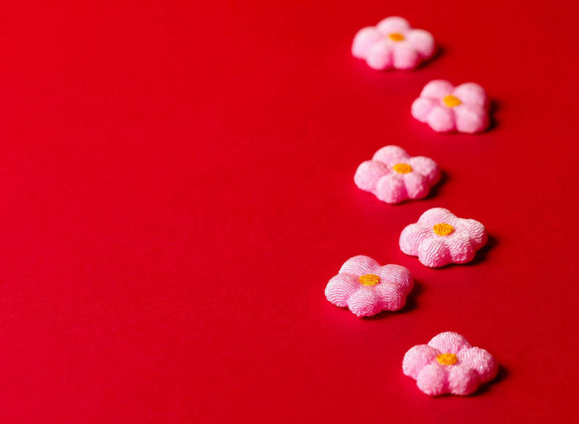 无人,横图,俯视,室内,特写,白天,静物,一排,许多,阴影,红色背景,整齐,装饰,反射,影子,梅花,很多,排列,粉色,假花,摄影,影棚,华丽,修饰,点缀,高雅,坚强,队列,衬托,美观,雅致,雅观,梅,彩图,高角度拍摄,影棚拍摄,拍摄,仿真花,人造花