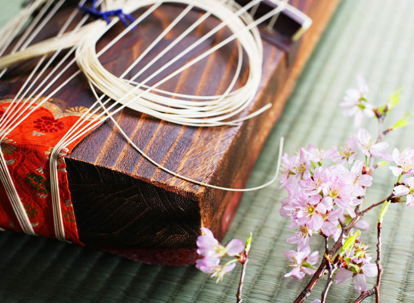 无人,横图,俯视,室内,特写,白天,幸福,纯洁,植物,樱花,静物,阴影,盛开,反射,木制,席子,影子,枝条,乐器,弦乐器,塌塌米,榻榻米,花蕾,花,花瓣,花朵,鲜花,树,树木,树枝,一个,红色,木制品,花苞,花蕊,摄影,影棚,单个,等待,生命,弹拨弦鸣乐器,古筝,弹弦乐器,仙樱花,福岛樱,青肤樱,高尚,热烈,民族乐器,虬枝,枝杈,叠席,荆桃,彩图,高角度拍摄,影棚拍摄,拍摄,弹拨弦乐器