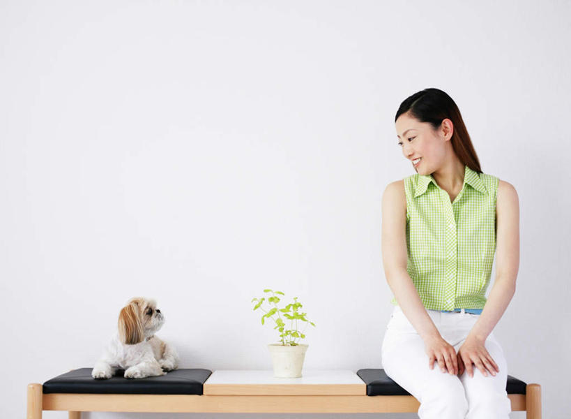 东方人,一个人,坐,笑,微笑,露齿笑,横图,室内,白天,白色背景,正面,植物,宠物,狗,椅子,亚洲,仅一个年轻女性,仅一个女性,仅一个人,阴影,服装,反射,盆栽,影子,木椅,盆景,扭头,注视,休闲装,黄种人,北京犬,狮子狗,一只,衣服,绿色,自然,动物,观察,看,转头,休闲,休闲服,可爱,摄影,服饰,影棚,生长,成长,观看,察看,关注,忠诚,北京宫廷犬,京巴,年轻女性,女人,女性,亚洲人,犬,坐着,半身,彩图,影棚拍摄,拍摄