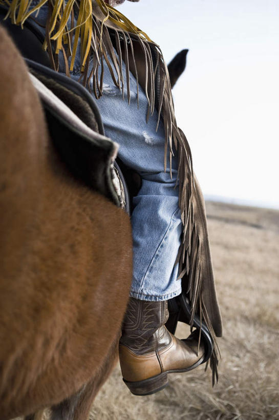 东方人,一个人,坐,竖图,室外,白天,植物,马,野生动物,鞋子,亚洲,仅一个男性,仅一个人,裤子,枯萎,地平线,云,云朵,辽阔,枯草,地面,云彩,牛仔裤,黄种人,靴子,踩,一匹,座位,马鞍,草,仅一个年轻男性,背面,黄色,蓝色,白云,蓝天,天空,动物,天,踩着,广阔,运输,牲畜,晴朗,一望无际,延伸,牛仔靴,天地相交,马具,无边无际,一马平川,男人,男性,年轻男性,亚洲人,晴空,坐着,半身,彩图