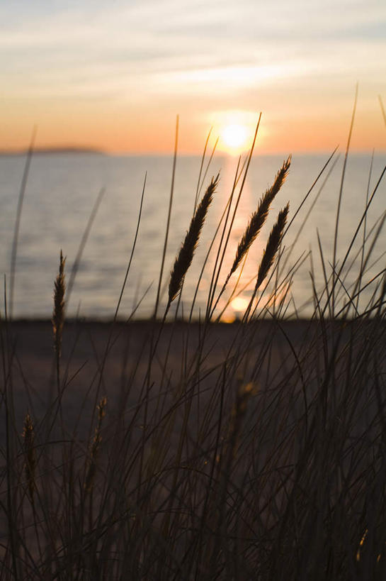 无人,竖图,室外,特写,白天,正面,旅游,度假,草地,草坪,海浪,海洋,美景,日落,植物,朦胧,模糊,反射,岸边,景观,浪花,晚霞,霞光,云,云朵,地面,娱乐,狗尾巴草,草,绿色,天空,自然,海水,黄昏,天,享受,休闲,狗尾草,景色,彩霞,放松,自然风光,海景,绿狗尾草,谷莠子,大海,风浪,海,海水的波动,近岸浪,涌浪,夕阳,彩图