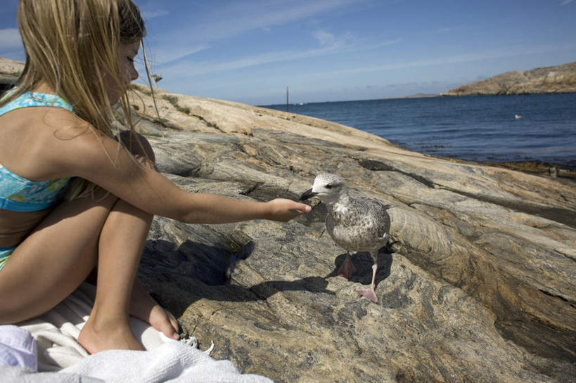 西方人,儿童,头发,一个人,举,横图,室外,白天,侧面,泳装,比基尼,游戏,礁石,石头,海鸟,海鸥,鸟,野生动物,欧洲,欧洲人,仅一个女性,仅一个人,撑,阴影,光线,鸟类,石子,影子,地,海岸,陆地,云,云朵,地面,玩,云彩,娱乐,小孩,黄色,蓝色,白云,蓝天,天空,阳光,动物,天,托,仅一个小孩,休闲,可爱,喂,活泼,活动,发泄,消遣,智力,宣泄,女孩,女人,女性,白种人,孩子,海滩,礁,石块,岩石,举起,举手,举着,玩耍,嬉戏,向上举,向上伸,向上托,半身,彩图,三点式,泳衣,女生