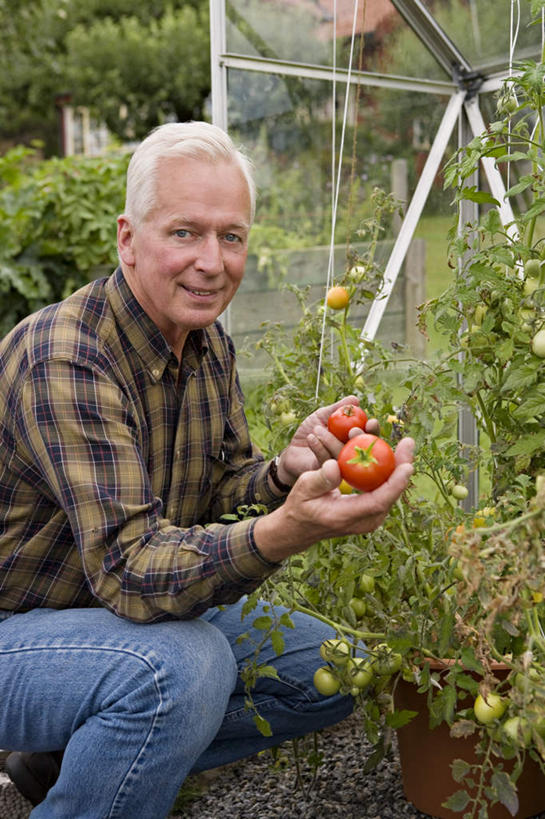 西方人,头发,一个人,家,菜园,蹲,笑,微笑,露齿笑,竖图,室外,白天,侧面,旅游,度假,农作物,田园,蔬菜,西红柿,玻璃,欧洲,欧洲人,仅一个男性,仅一个人,许多,握,种植,阴影,服装,新鲜,时间,光线,时钟,手表,影子,房屋,屋子,食品,拿,计时,拿着,扭头,注视,休闲装,娱乐,楼房,住宅,玻璃制品,食物,衣服,阳光,钟表,观察,看,转头,仅一个老年男性,享受,休闲,休闲服,表,放松,握着,服饰,有机食品,绿色食品,观看,灰白,腕表,察看,栽培,栽种,关注,菜棚,田庄,地棚,莳植,老年男性,男人,男性,白种人,钟,番茄,蹲着,半身,彩图,房子