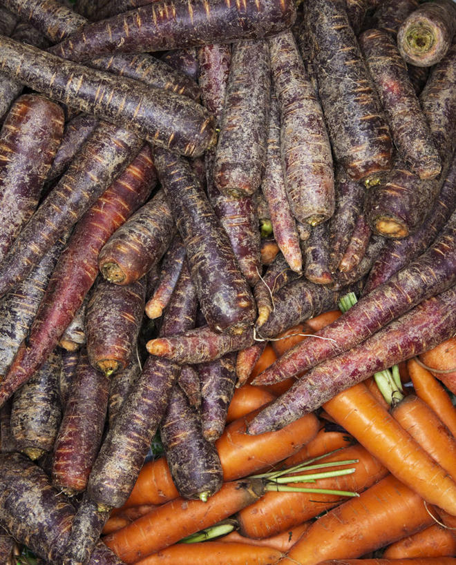 无人,竖图,俯视,室外,特写,白天,萝卜,胡萝卜,蔬菜,一堆,许多,堆叠,堆积,新鲜,食品,很多,食物,紫色,橙色,有机食品,绿色食品,堆,黄萝卜,番萝卜,红萝卜,甘荀,彩图,高角度拍摄,丁香萝卜,胡芦菔金