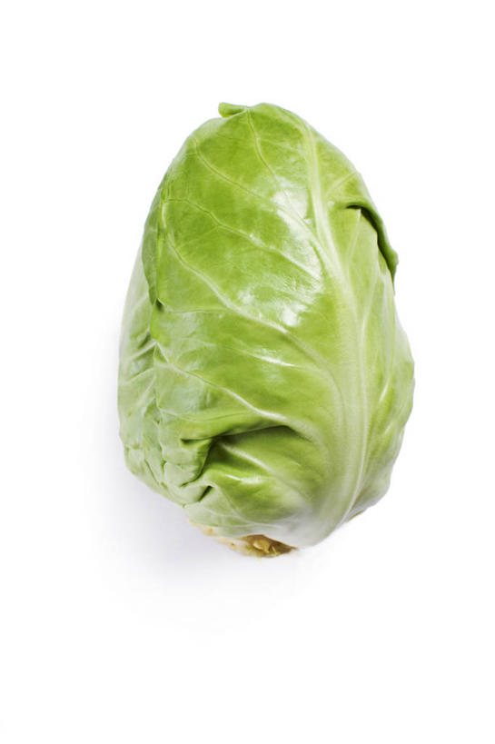 无人,竖图,俯视,室内,特写,白天,白色背景,餐桌,桌子,蔬菜,椰菜,卷心菜,阴影,新鲜,反射,影子,食品,食物,一个,绿色,甘蓝,摄影,有机食品,绿色食品,影棚,单个,餐台,甘蓝菜,结球甘蓝,甘兰,包心菜,彩图,高角度拍摄,影棚拍摄,拍摄,圆白菜