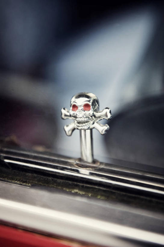 无人,竖图,室内,特写,白天,正面,窗户,静物,阴影,朦胧,模糊,装饰,反射,骷髅,影子,玻璃窗,海盗,华丽,修饰,点缀,衬托,美观,雅致,雅观,彩图