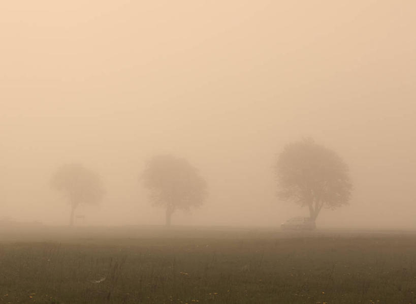 无人,横图,室外,白天,正面,旅游,度假,草地,草坪,美景,日落,植物,雾,瑞典,欧洲,三棵,朦胧,模糊,景观,晚霞,霞光,落日,娱乐,草,树,树木,绿色,自然,黄昏,享受,休闲,景色,彩霞,放松,生长,成长,迷雾,斯堪的纳维亚,自然风光,北欧,斯堪的那维亚,斯堪的那维亚半岛,斯堪的纳维亚半岛,瑞典王国,夕照,薄暮,大雾,夕阳,彩图,傍晚,斯堪尼省,斜阳