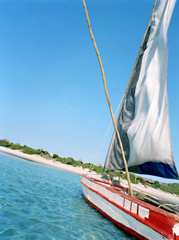 帆船,无人,竖图,俯视,室外,白天,海浪,海洋,植物,船,浪花,桅杆,树,树木,蓝色,绿色,蓝天,天空,自然,海水,交通工具,天,生长,成长,载具,海景,大海,风浪,海,海水的波动,近岸浪,涌浪,彩图,高角度拍摄