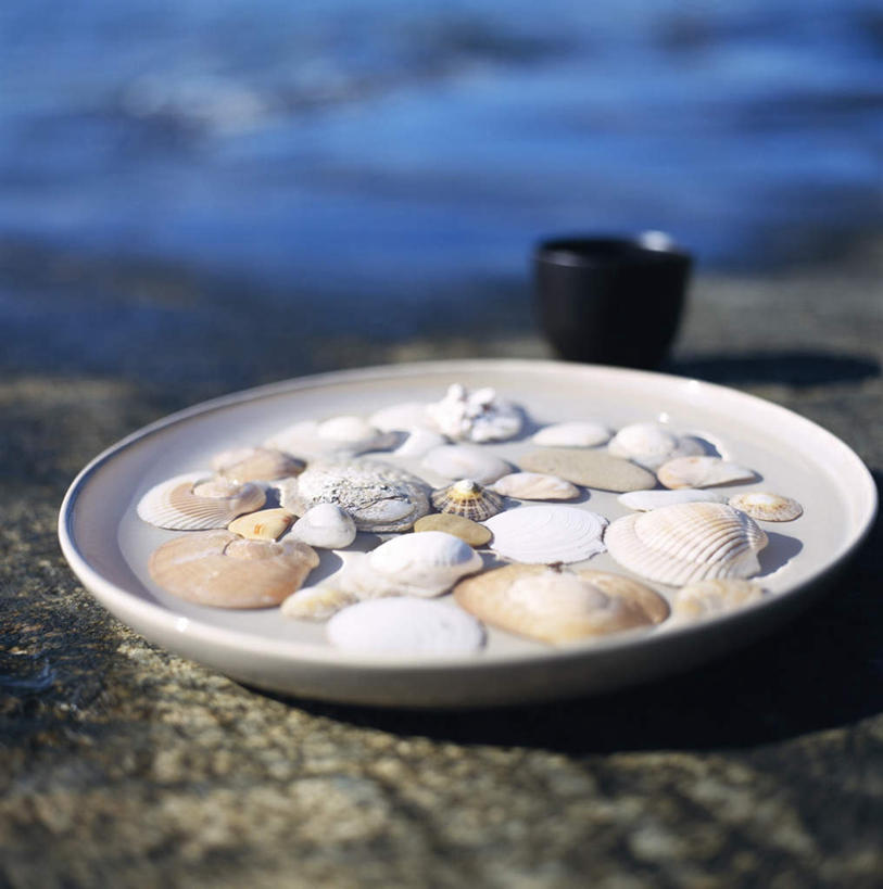 无人,竖图,俯视,室外,特写,白天,地板,静物,杯子,贝壳,餐具,阴影,朦胧,模糊,光线,碟子,盘,影子,地面,一杯,黑色,阳光,盘子,水杯,碟,一盘,贝类外壳,海螺壳,软体动物外壳,茶杯,彩图,高角度拍摄