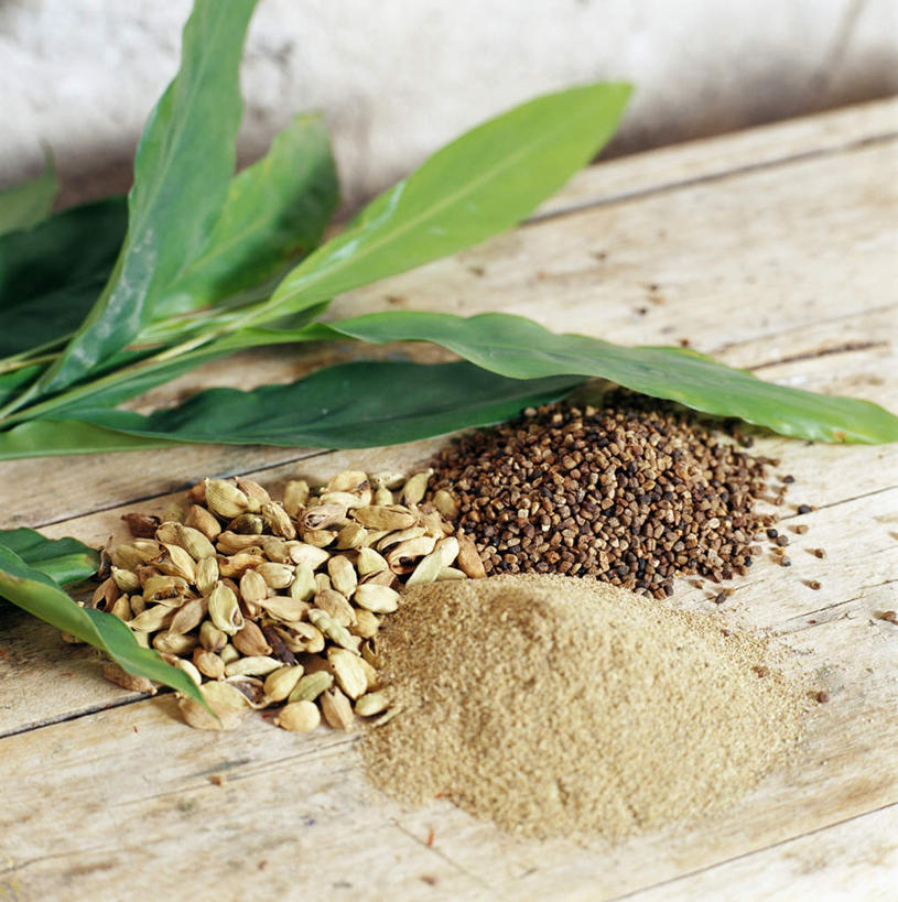 无人,竖图,俯视,室内,特写,白天,植物,桌面,豆,静物,叶子,一堆,许多,阴影,堆叠,堆积,光线,影子,豆类,豆子,调味,香料,佐料,绿叶,阳光,嫩叶,堆,小豆蔻,配料,豆科,作料,叶,叶片,彩图,高角度拍摄