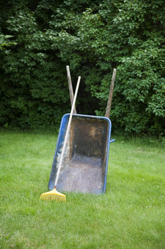 无人,竖图,室外,白天,正面,草地,草坪,美景,植物,一把,工具,扫帚,景观,草,树,树木,一个,绿色,自然,清洁,景色,生长,单个,成长,扫把,垃圾车,卫生,自然风光,保洁,笤帚,彩图