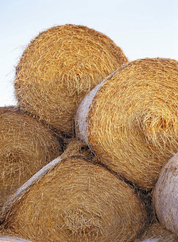 无人,竖图,室外,白天,正面,一堆,许多,堆叠,堆积,云,云朵,干草,云彩,蓝色,白云,蓝天,天空,草垛,天,晴朗,堆,圆柱形,晴空,彩图