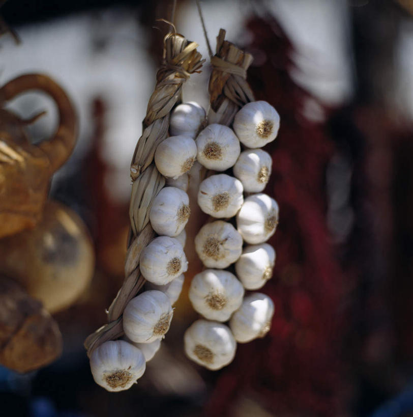 无人,横图,室外,特写,白天,正面,蔬菜,蒜,许多,吊挂,悬挂,朦胧,模糊,新鲜,食品,挂,食物,白色,有机食品,绿色食品,小蒜,大蒜,彩图