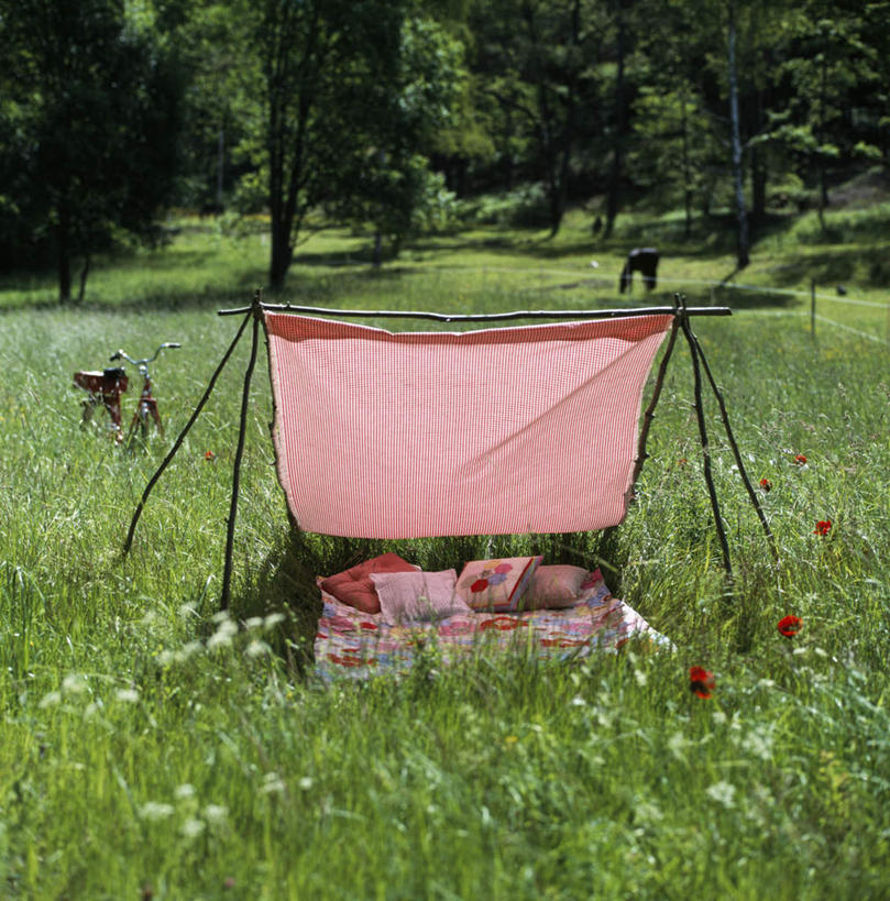 无人,方图,室外,白天,正面,草地,草坪,树林,植物,靠垫,瑞典,欧洲,一块,许多,阴影,盛开,光线,木制,布料,篮子,影子,靠枕,花蕾,布纹,架子,桌布,草,花,花瓣,花朵,鲜花,树,树木,树枝,黄色,红色,蓝色,绿色,阳光,自然,餐巾,木制品,抱枕,台布,枕头,花苞,花蕊,生长,成长,斯堪的纳维亚,北欧,斯堪的纳维亚半岛,食物篮,瑞典王国,彩图,野餐篮