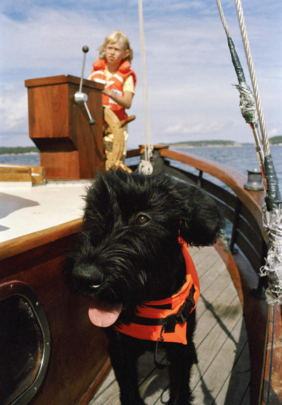 儿童,一个人,站,蹲,竖图,室外,特写,白天,正面,纯洁,岛屿,海浪,海洋,树林,植物,船,宠物,狗,仅一个女性,仅一个人,一块,阴影,波纹,朦胧,模糊,光线,救生衣,影子,浪花,云,云朵,游艇,梗犬,雪纳瑞,涟漪,云彩,注视,树,树木,一只,小孩,黄色,蓝色,绿色,黑色,白云,蓝天,水纹,天空,阳光,自然,海水,动物,方向盘,交通工具,波浪,天,观察,看,站着,仅一个小孩,金色,可爱,童年,童趣,生长,晴朗,成长,观看,察看,关注,载具,雪纳瑞犬,海景,童真,烂漫,无邪,忠诚,水晕,雪纳瑞狗,巨型雪纳瑞,浮水衣,天真,女孩,女人,女性,孩子,长发,卷发,大海,风浪,海,海水的波动,近岸浪,列岛,群岛,涌浪,诸岛,晴空,犬,蹲着,站立,半身,彩图,女生