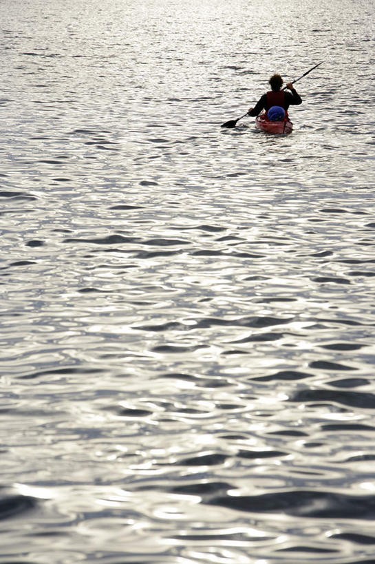 西方人,一个人,坐,竖图,室外,白天,海浪,海洋,船,欧洲,欧洲人,仅一个男性,仅一个人,握,波纹,船桨,救生衣,浪花,木船,涟漪,拿,拿着,球,仅一个年轻男性,一个,背面,红色,紫色,水纹,海水,交通工具,波浪,球体,划,握着,单个,舟,载具,海景,水晕,浮水衣,男人,男性,年轻男性,白种人,大海,风浪,海,海水的波动,近岸浪,涌浪,坐着,彩图,全身,短发