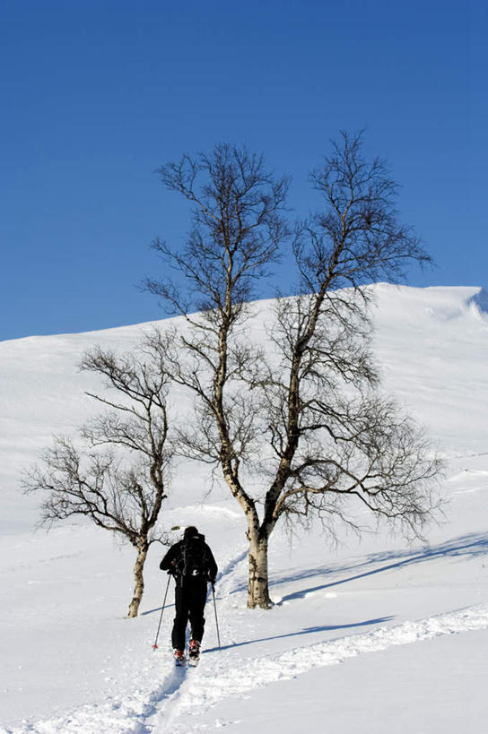 西方人,一个人,竖图,室外,白天,正面,雪,大雪,帽子,欧洲,欧洲人,仅一个男性,仅一个人,两根,两块,一副,戴,握,阴影,飞溅,服装,溅,光线,墨镜,眼镜,影子,积雪,雪景,冬季,冬天,倾斜,拿,拿着,休闲装,仅一个年轻男性,衣服,黄色,红色,蓝色,黑色,蓝天,天空,阳光,太阳镜,太阳眼镜,天,休闲,休闲服,遮阳镜,寒冷,划,握着,服饰,晴朗,迅速,快速,滑雪板,戴着,喷洒,万里无云,棉帽,严寒,疾速,杆子,男人,男性,年轻男性,白种人,晴空,晴空万里,彩图,全身