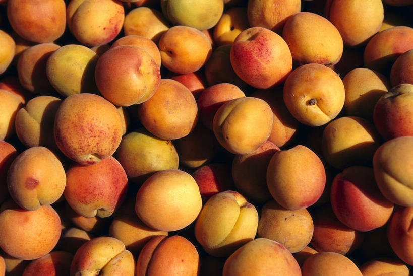 无人,横图,俯视,室内,白天,桃子,水果,一堆,许多,阴影,堆叠,堆积,新鲜,反射,影子,生食,食品,果实,很多,食物,橙色,有机食品,绿色食品,堆,肺果,彩图,高角度拍摄