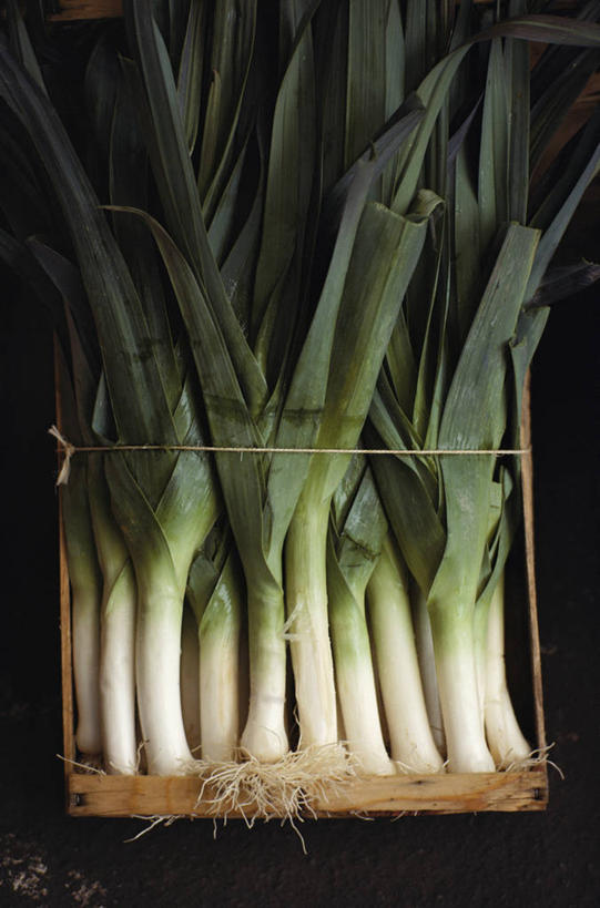 无人,竖图,室内,特写,白天,正面,蔬菜,一排,许多,阴影,新鲜,整齐,反射,木制,木盒,影子,葱,青葱,食品,很多,食物,排列,一个,绿色,白色,木制品,容器,有机食品,绿色食品,单个,储藏,储存,队列,韭葱,彩图,贮存