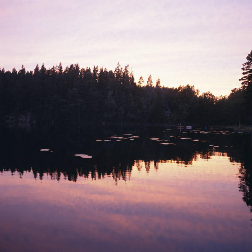 无人,横图,室外,白天,正面,旅游,度假,湖,湖泊,美景,日落,森林,树林,水,植物,睡莲,湖面,景观,水流,水面,晚霞,霞光,落日,娱乐,树,树木,绿色,倒影,天空,自然,黄昏,湖水,天,享受,休闲,景色,彩霞,放松,生长,成长,倒映,自然风光,纯真,妖艳,水芹花,抒情,洁净,夕照,反照,薄暮,水洋花,小莲花,子午莲,夕阳,彩图,傍晚,斜阳