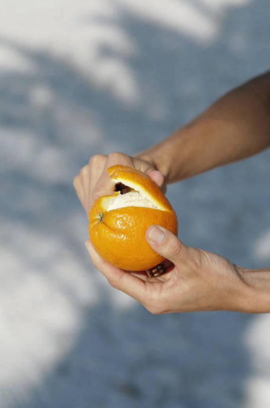西方人,手,一个人,竖图,俯视,室外,特写,白天,柑橘,水果,金属制品,欧洲,欧洲人,双手,仅一个男性,仅一个人,一把,握,阴影,朦胧,模糊,新鲜,光线,金属,工具,影子,生食,食品,果实,刀具,食物,仅一个年轻男性,一个,阳光,刀,削皮,手部,握着,有机食品,绿色食品,单个,水果刀,柑桔,男人,男性,年轻男性,白种人,橘子,桔子,半身,彩图,高角度拍摄,大红蜜橘,大红袍,红橘,黄橘,宽皮橘