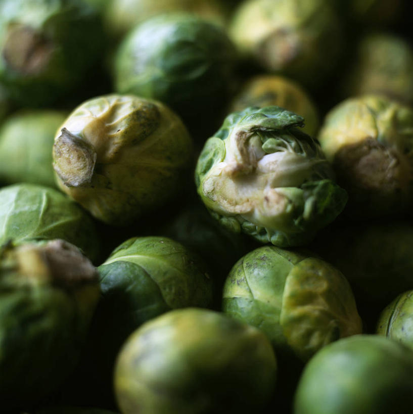 无人,竖图,俯视,室内,特写,白天,蔬菜,椰菜,卷心菜,一堆,许多,阴影,堆叠,堆积,朦胧,模糊,新鲜,反射,影子,食品,食物,甘蓝,有机食品,绿色食品,抱子甘蓝,芽甘蓝,堆,球芽甘蓝,子持甘蓝,甘蓝菜,结球甘蓝,甘兰,包心菜,彩图,高角度拍摄,圆白菜