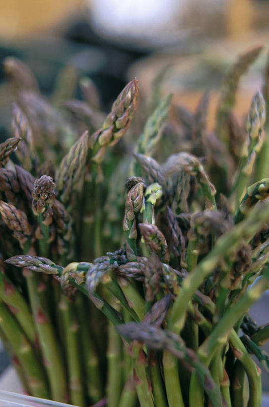 无人,竖图,室内,特写,白天,正面,芦笋,蔬菜,许多,阴影,朦胧,模糊,新鲜,反射,影子,食品,食物,有机食品,绿色食品,猪尾巴,药鸡豆子,石刁柏,蚂蚁杆,龙须菜,狼尾巴根,彩图