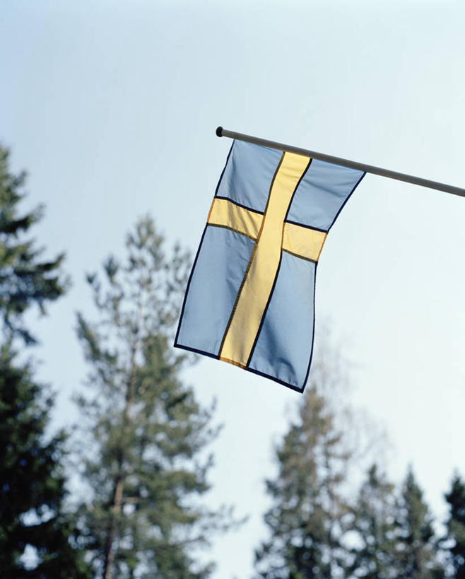 无人,交叉,竖图,室外,特写,白天,仰视,植物,旗帜,国旗,一面,吊挂,悬挂,阴影,条纹,朦胧,模糊,光线,旗杆,影子,挂,树,树木,黄色,蓝色,绿色,蓝天,天空,阳光,自然,天,生长,晴朗,成长,万里无云,相交,交集,旗,晴空,晴空万里,彩图,低角度拍摄,瑞典国旗