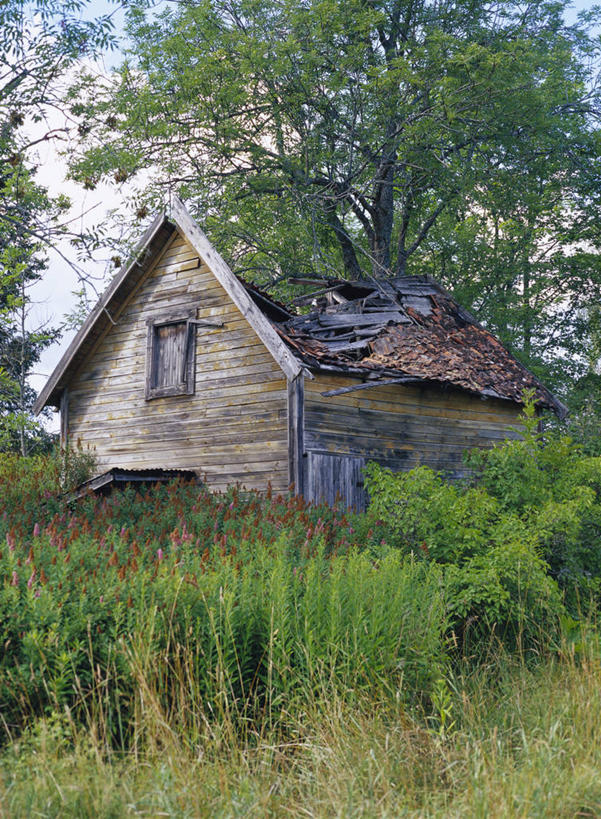 无人,家,木屋,竖图,室外,白天,正面,草地,草坪,美景,植物,景观,破坏,破损,住宅,草,树,树木,绿色,自然,景色,生长,成长,损坏,自然风光,一栋,彩图,茅舍,茅屋,棚屋,小木屋,小屋