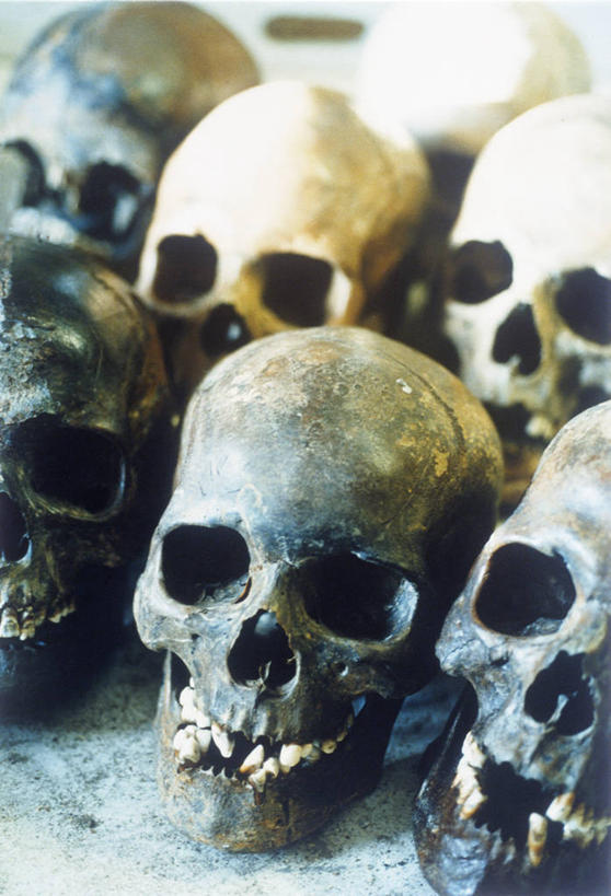 颅骨,无人,竖图,俯视,室内,特写,白天,静物,许多,阴影,朦胧,模糊,反射,影子,鼻骨,顶骨,额骨,颈椎,颞骨,下颌骨,颧骨,头盖骨,彩图,高角度拍摄