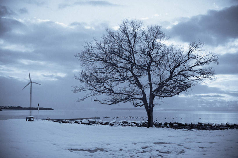 无人,横图,室外,白天,正面,农业,风力发电机,湖,湖泊,美景,水,雪,植物,大雪,风车,瑞典,欧洲,一棵,环保,电力,湖面,积雪,景观,水流,水面,雪景,云,云朵,冬季,冬天,枝条,云彩,设备,树,树干,树木,树枝,一个,蓝色,绿色,白云,蓝天,天空,自然,湖水,天,发电,机械,景色,寒冷,工业,生长,能源,晴朗,单个,成长,资源,风力机,斯堪的纳维亚,自然风光,北欧,斯堪的纳维亚半岛,利用,低碳,严寒,瑞典王国,风力发电,晴空,彩图