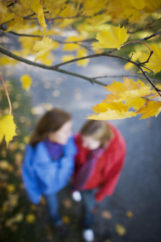 西方人,两个人,伙伴,朋友,走,竖图,俯视,室外,白天,友谊,秋季,植物,道路,路,叶子,欧洲,欧洲人,朦胧,模糊,小路,枯叶,落叶,交通,注视,树,树木,绿色,自然,观察,看,生长,成长,观看,察看,关注,秋日,友情,年轻女性,女人,女性,白种人,叶,叶片,秋天,步行,散步,走路,彩图,高角度拍摄,全身
