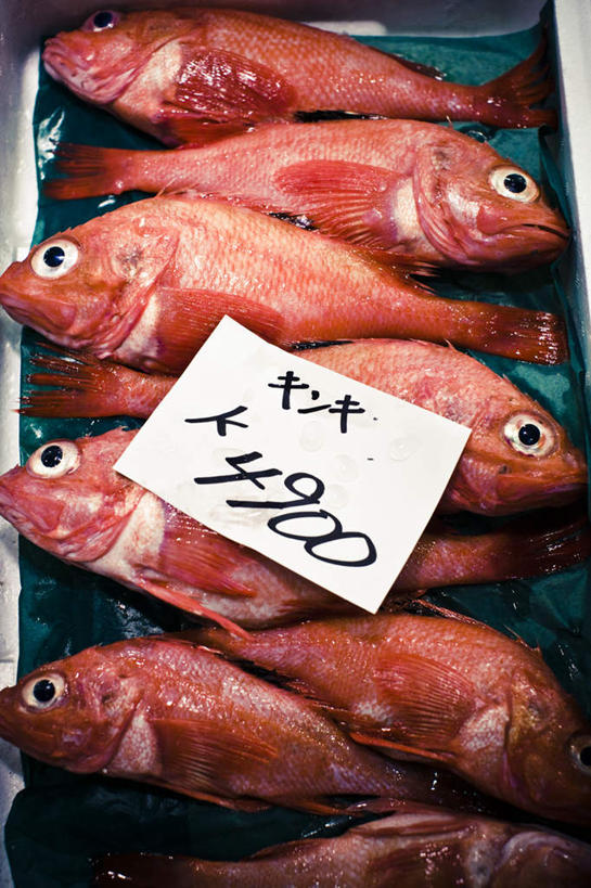 海鲜,无人,竖图,俯视,室外,特写,白天,一排,一张,许多,整齐,日文,鱼,标志,数字,文字,纸,字符,塑料,鲷鱼,标识,水产,鱼类,海洋生物,盒子,排列,红色,白色,容器,塑料制品,阿拉伯数字,储藏,鲷,加吉鱼,铜盆鱼,储存,队列,水生动物,海产品,水生物,海底动物,日语,班加吉,加真鲷,保鲜,大红鱼,赤鳍笛鲷,红鳍笛鲷,红鱼,彩图,高角度拍摄,贮存