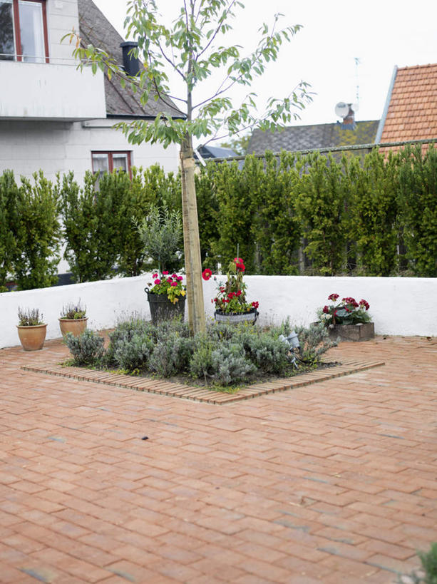 无人,竖图,俯视,室外,白天,植物,道路,路,叶子,一排,许多,整齐,装饰,盛开,盆栽,房屋,屋子,公寓,小路,绿叶,盆景,交通,花蕾,楼房,住宅,花,花瓣,花朵,鲜花,树,树木,排列,红色,蓝色,绿色,蓝天,天空,自然,天,花苞,花蕊,嫩叶,砖头,乡间小路,生长,晴朗,成长,灌木,堆,华丽,修饰,堆砌,点缀,队列,万里无云,衬托,美观,雅致,雅观,叶,叶片,晴空,晴空万里,彩图,高角度拍摄,房子