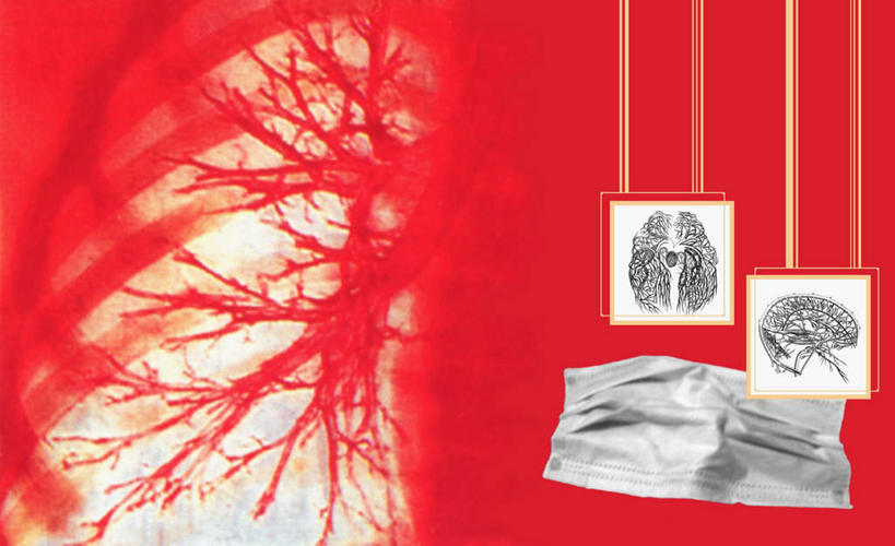 肺,无人,横图,插画,室内,白天,正面,数码,科技,一条,阴影,红色背景,网络,纺织物,高光,几何,计算机图形,合成,图画,画,毛巾,清洁,保暖,电脑合成图,数码合成图,合成图,漫画,透气,防水,写实,具体,具象,储水,耐磨,吸水,肺部,肺脏,彩图