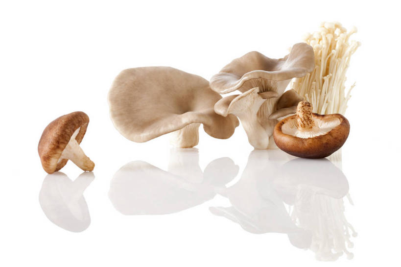 无人,横图,特写,留白,白色背景,农业,蔬菜,静物,北京,亚洲,准备,反射,金针菇,蘑菇,香菇,生食,食品,饮品,饮食,食物,饮料,食用菌,摄影,有机食品,蚝蘑,简单,膳食,可口,清新,东亚,健康食物,纯净,适口,彩图,影棚拍摄