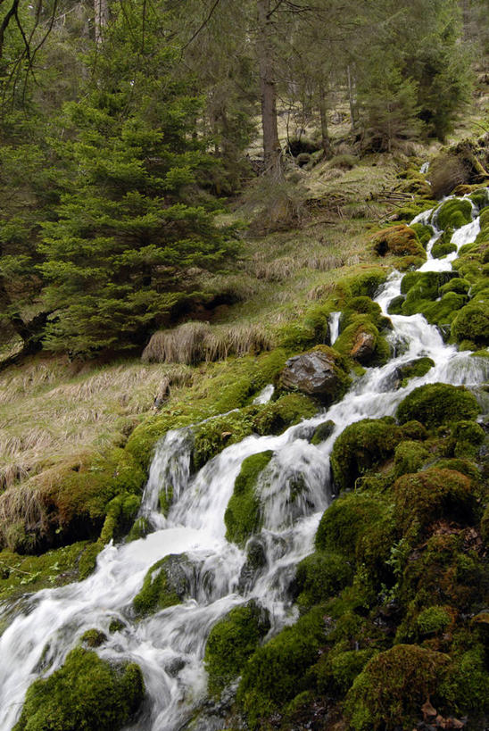 无人,竖图,室外,白天,旅游,度假,美景,瀑布,水,意大利,欧洲,地形,景观,青苔,苔藓,南,图像,娱乐,树,风景,小溪,自然,享受,休闲,景色,放松,摄影,流动,宁静,运河,自然风光,岩石,彩图