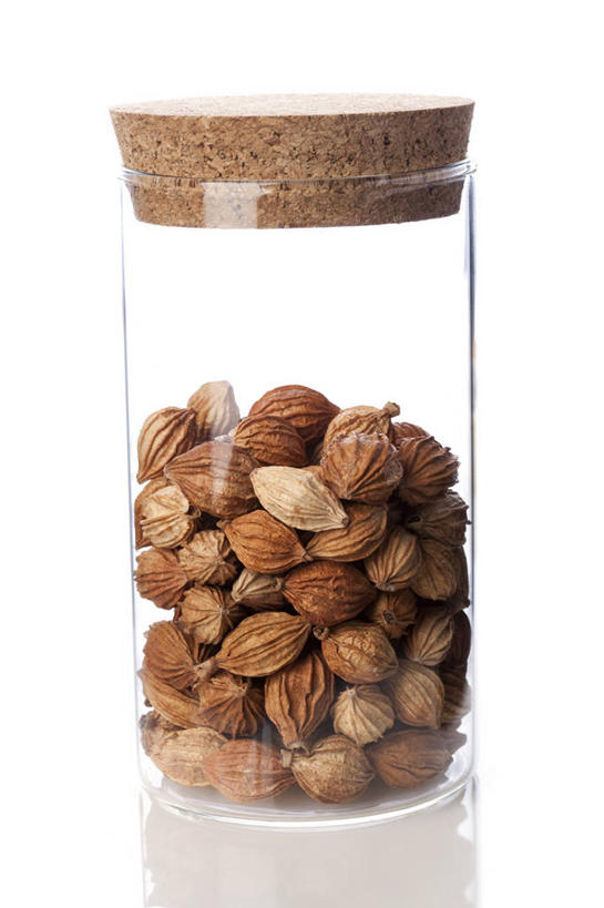 无人,竖图,白色背景,静物,玻璃,北京,中国,亚洲,堆叠,丰富,反射,材料,瓷器,草药,药草,软木塞,传统,红色,自然,瓶子,干花,瓶盖,摄影,有机食品,堆,简单,草本,中国文化,干的,中医,东亚,替代疗法,彩图,影棚拍摄,传统文化,砂仁,成分