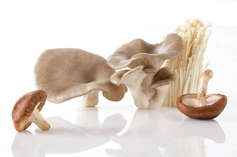 无人,横图,特写,留白,白色背景,农业,蔬菜,静物,北京,亚洲,准备,反射,金针菇,蘑菇,香菇,生食,食品,饮品,饮食,食物,饮料,食用菌,摄影,有机食品,蚝蘑,简单,膳食,可口,清新,东亚,健康食物,纯净,适口,彩图,影棚拍摄