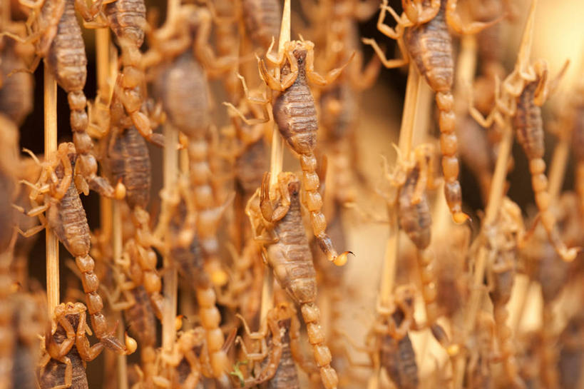 点心,无人,横图,特写,静物,北京,中国,亚洲,丰富,昆虫,油炸,美味,食品,饮品,串,货摊,小吃,饮食,食物,特产,饮料,零售,诱惑,摄影,风格,膳食,可口,蝗虫,中国文化,蝎子,东亚,羊肉串,东亚文化,零售店,适口,烤串,彩图,传统文化,街市