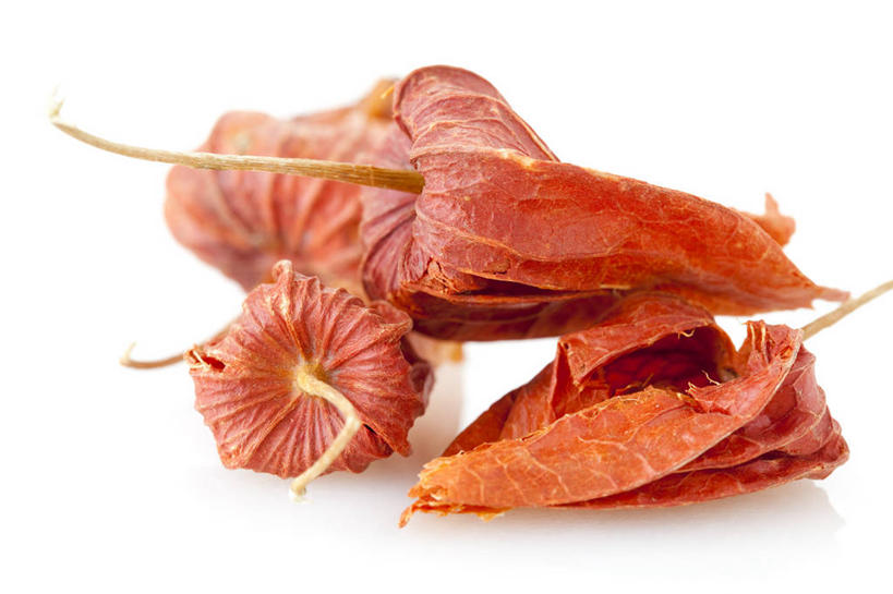 无人,横图,特写,留白,白色背景,静物,北京,中国,亚洲,药,材料,瓷器,草药,药草,自然,干花,健康,摄影,有机食品,影棚,简单,草本,中国文化,摄影棚,干的,营养品,中医,东亚,替代疗法,锦灯笼,彩图,影棚拍摄,拍摄