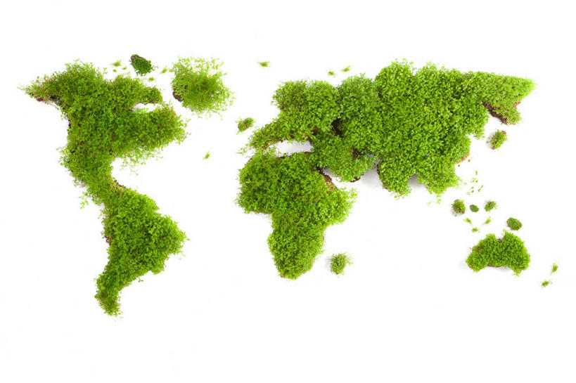 无人,横图,俯视,留白,白色背景,静物,地图,种植,花坛,世界地图,园艺,草,绿色,自然,概念,摄影,影棚,环境,创造力,摄影棚,环境保护,想法,自然地理,彩图,高角度拍摄,影棚拍摄,拍摄,地图学,测绘学