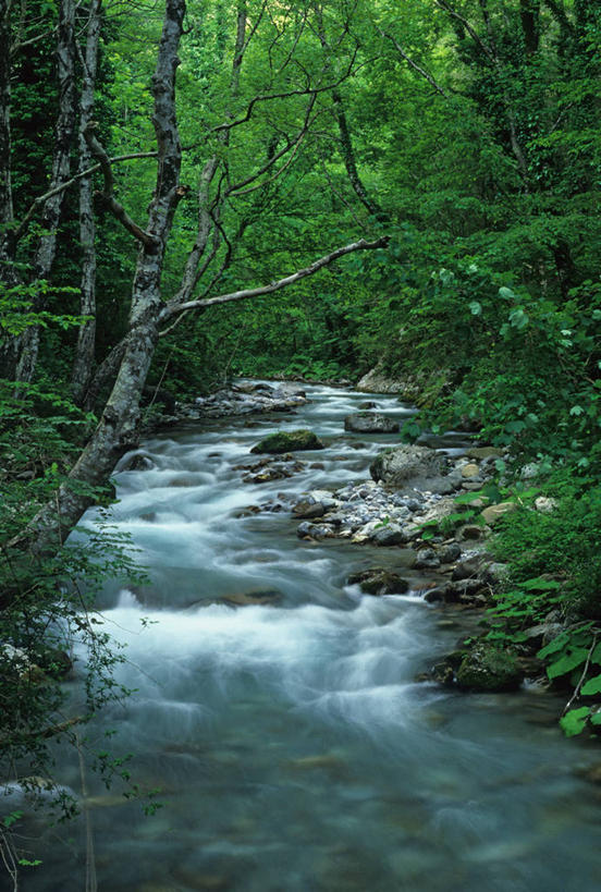 无人,公园,竖图,室外,白天,河流,美景,意大利,欧洲,景观,图像,树,风景,小溪,自然,景色,摄影,流动,宁静,环境,自然风光,卡拉布里亚,彩图,旅行