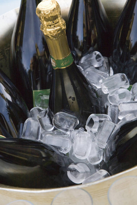 葡萄酒,无人,竖图,室内,静物,庆祝,冰,冰块,酒类,图像,饮食,酒,饮料,瓶子,冷饮,香槟,冷,酗酒,财富,摄影,温度,华贵,冷却器,彩图