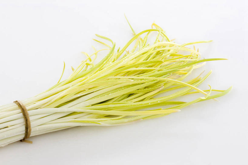 无人,横图,特写,留白,白色背景,农业,蔬菜,蒜,静物,叶子,捆扎,准备,堆叠,食品,茎,饮品,捆,饮食,食物,饮料,绿色,摄影,有机食品,蒜苗,简单,可口,清新,健康食物,纯净,蒜薹,蒜毫,蒜苔,适口,彩图,影棚拍摄