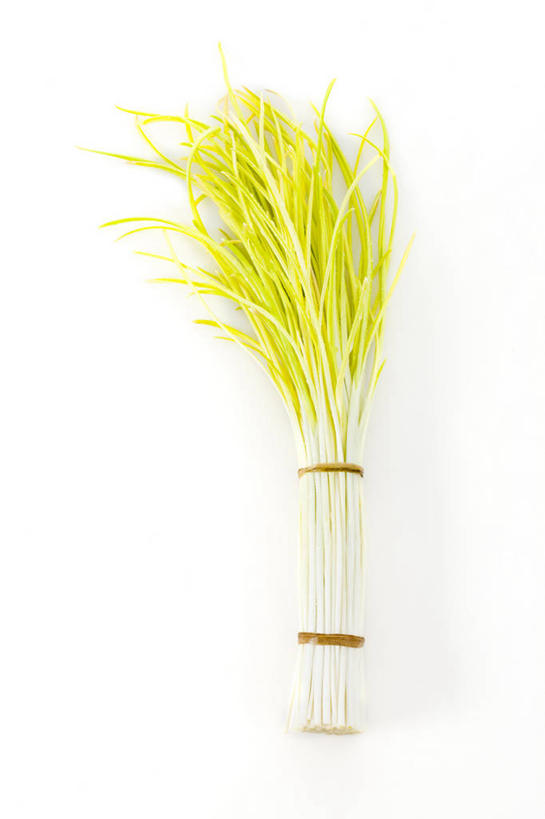 无人,竖图,留白,白色背景,农业,蔬菜,蒜,静物,叶子,捆扎,准备,堆叠,食品,茎,饮品,捆,饮食,食物,饮料,绿色,摄影,有机食品,蒜苗,简单,可口,清新,健康食物,纯净,蒜薹,蒜毫,蒜苔,适口,彩图,影棚拍摄